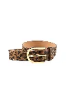 55300 Panter 2026.webp