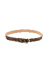 55300 Panter 2026 2.webp