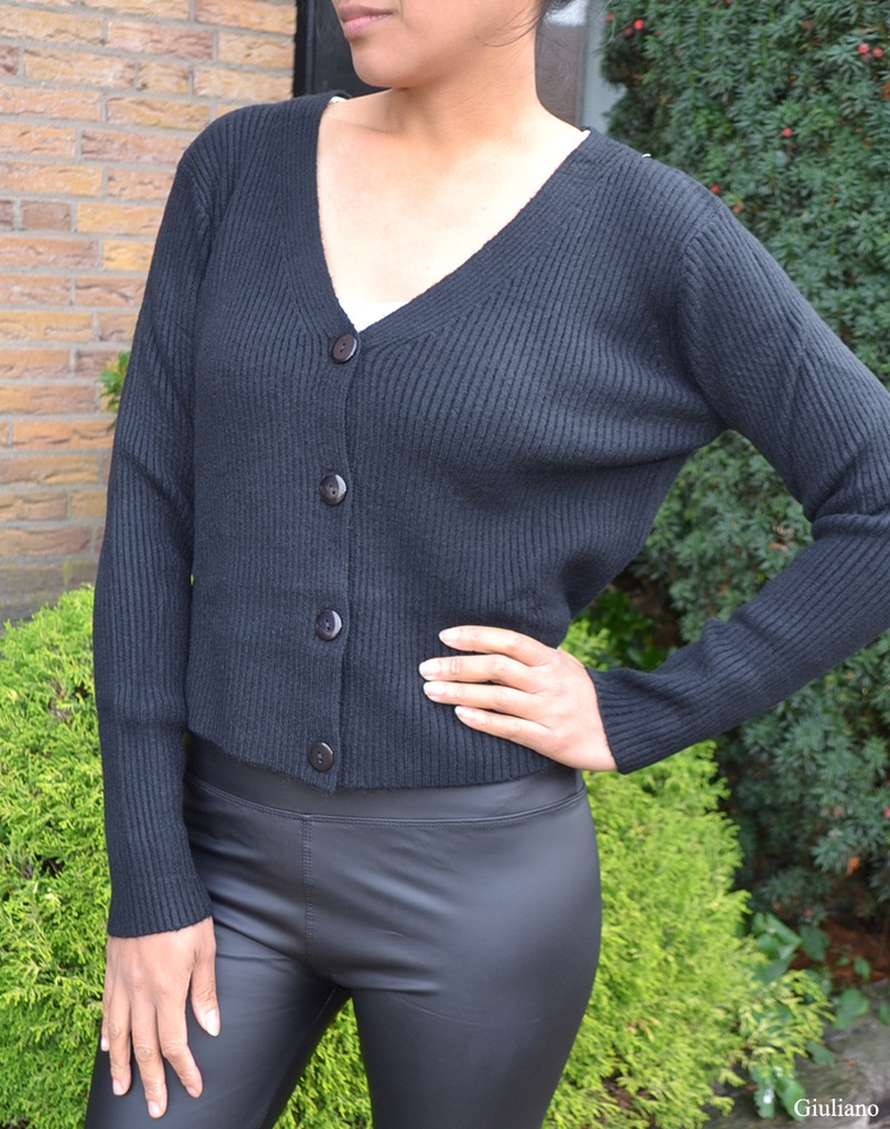Vest | 610003 (Zwart)