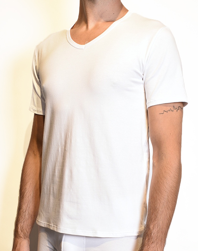 Basic Heren T-shirt | V-Hals | 10 PACK | 5005