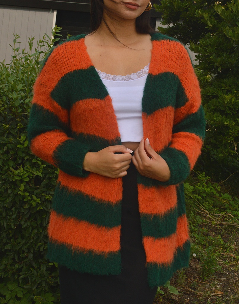 Gebreid Vest Streep | 62259