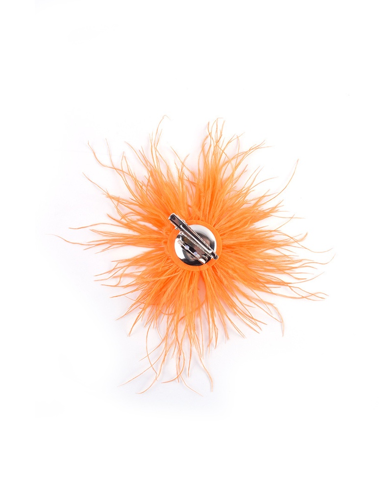 Brooche | 300031
