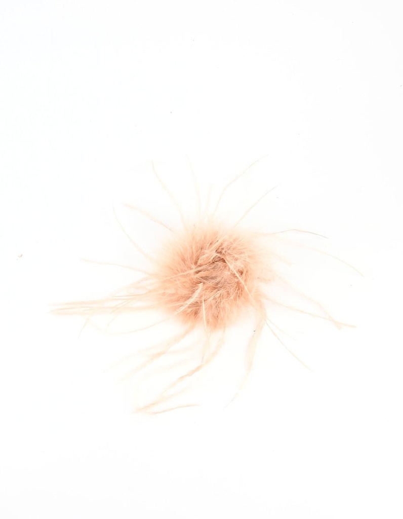 Brooche | 300031