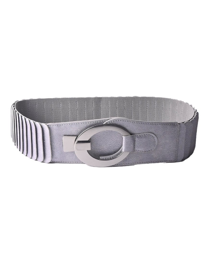 Kunstlederen Riem  - Gesp | Metallic Zilver | 400097 (Zilver)